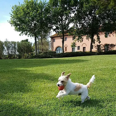 La Magnifica Fauglia